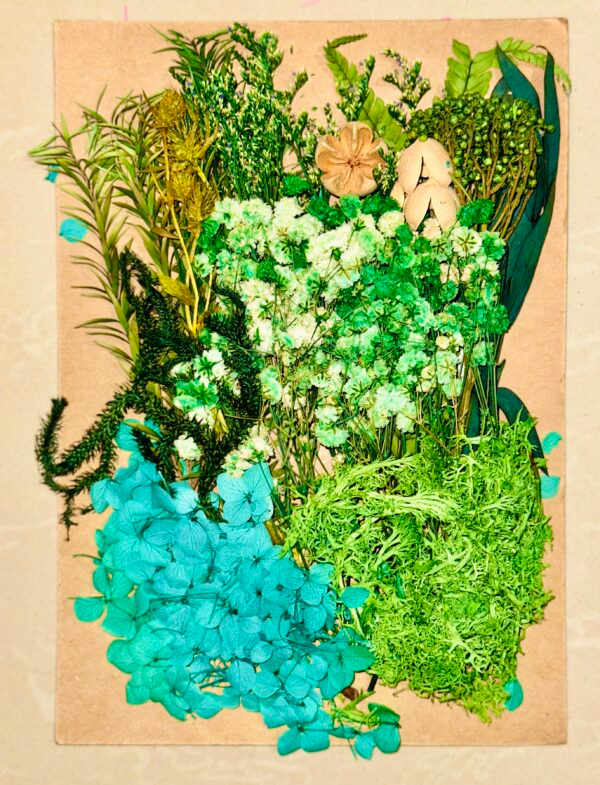 Dry Flowers Set for Resin Art- 20563 - Image 2