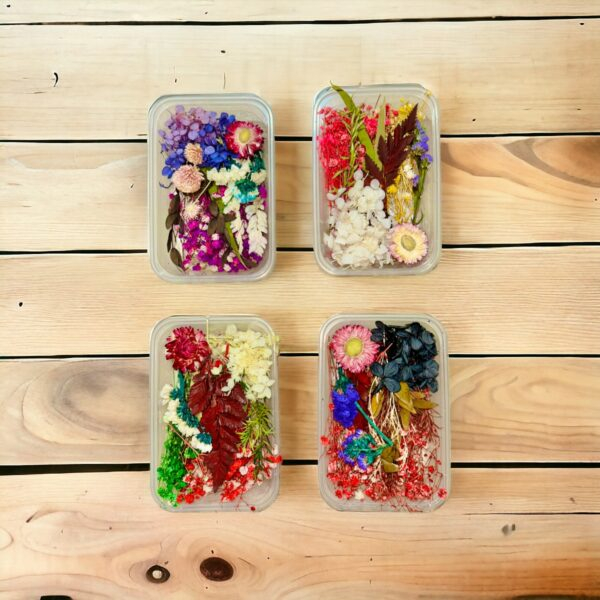 Dry Flowers Set Box for Resin Art- Assorted Design (Only 1 Pcs)