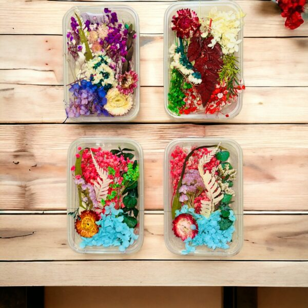 Dry Flowers Set Box for Resin Art- Assorted Design (Only 1 Pcs)