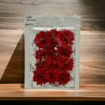 Dried Pressed Flowers Set for DIY Crafts and Resin Art