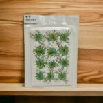 Dried Pressed Flowers Set for DIY Crafts and Resin Art